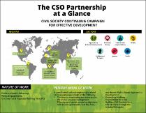 The CSO Partnership at a glance